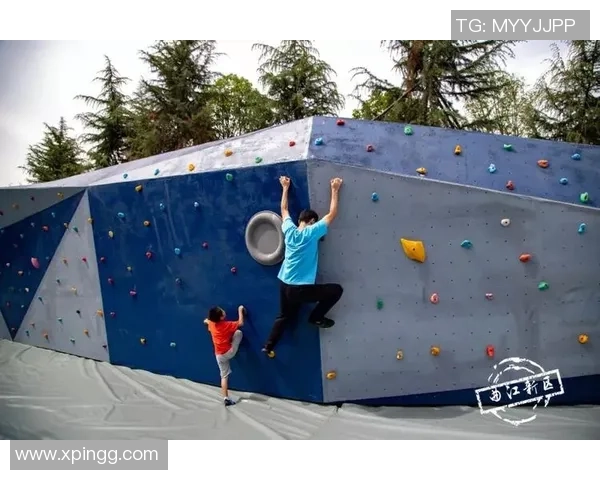 打造舒适家庭娱乐空间客厅足球地毯让您尽享家庭乐趣与运动激情 打造舒适家庭娱乐空间客厅足球地毯让您尽享家庭乐趣与运动激情