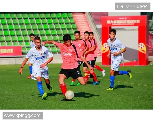 厚皮足球的魅力与挑战探索这项运动如何改变我们的生活与团队精神 厚皮足球的魅力与挑战探索这项运动如何改变我们的生活与团队精神